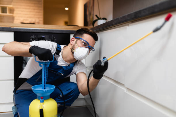 Best Pest Removal Services  in Mastic, NY