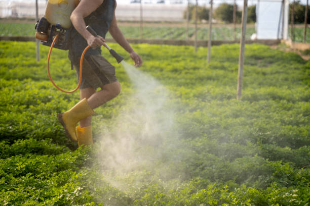 Best Affordable Pest Control Services  in Mastic, NY