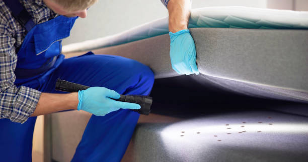 Best Pest Prevention Services  in Mastic, NY