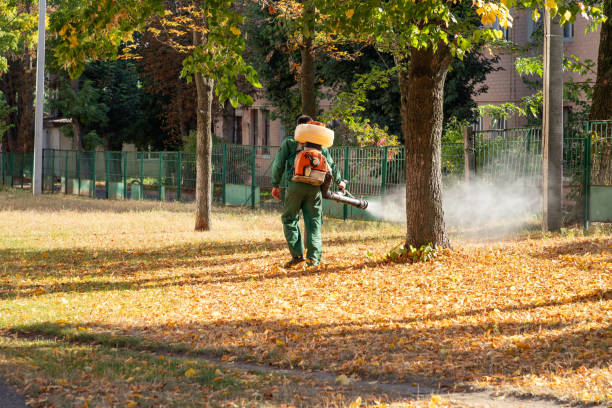 Mastic, NY Pest Control Company