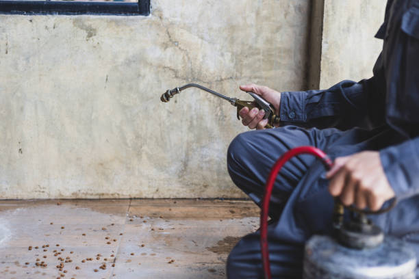 Best Pest Prevention Services  in Mastic, NY