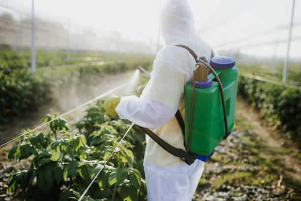 Best Pest Control for Businesses  in Mastic, NY